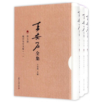 王安石全集：临川先生文集（套装1-3册） pdf epub mobi 下载
