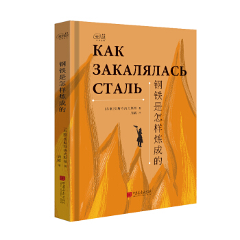 愛閱讀：鋼鐵是怎樣煉成的 pdf epub mobi 下载