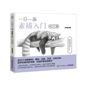 一日一画素描入门：综合篇 pdf epub mobi 下载