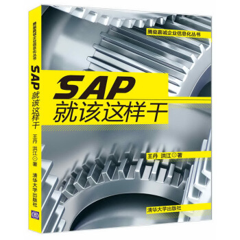 腾燊嘉诚企业信息化丛书：SAP就该这样干 pdf epub mobi 下载