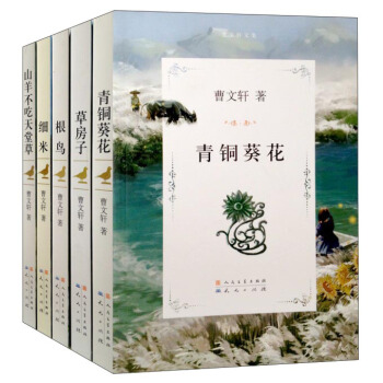 曹文轩文集（套装共5册） [9-14岁] pdf epub mobi 下载