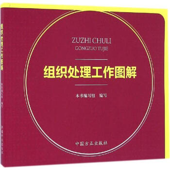 組織處理工作圖解 pdf epub mobi 下载