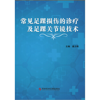 常見足踝損傷的診療及足踝關節鏡技術 pdf epub mobi 下载