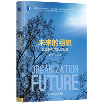 未来的组织：企业持续成长的智慧 pdf epub mobi 下载