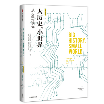 大历史，小世界 [Big History, Small World: From the Big Bang to You] pdf epub mobi 下载