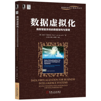 數據虛擬化：商務智能係統的數據架構與管理 pdf epub mobi 下载