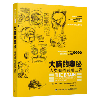 大腦的奧秘:人類如何感知世界