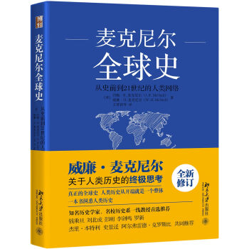 全球史：从史前到21世纪的人类网络 pdf epub mobi 下载