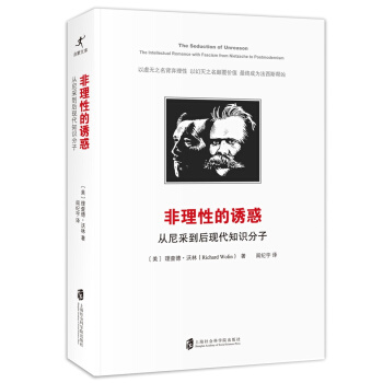 非理性的诱惑:从尼采到后现代知识分子 pdf epub mobi 下载