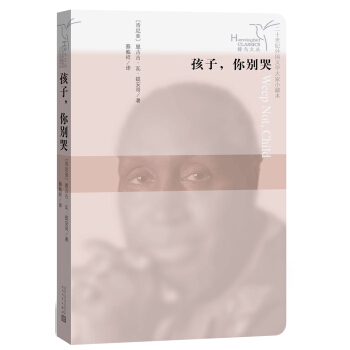 蜂鸟文丛：孩子，你别哭 pdf epub mobi 下载