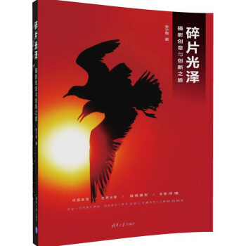 碎片光泽 摄影创意与创新之旅(附光盘)