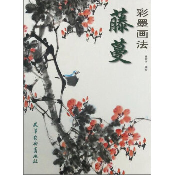 藤蔓彩墨画法 pdf epub mobi 下载