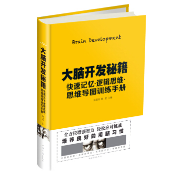 大脑开发秘籍：快速记忆 逻辑思维 思维导图训练手册 pdf epub mobi 电子书 下载