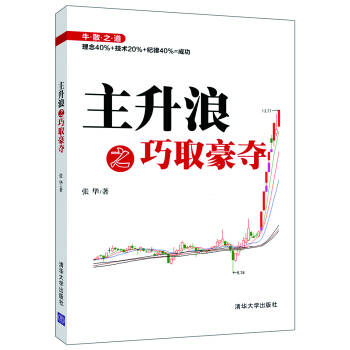 主升浪之巧取豪奪 pdf epub mobi 下载