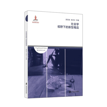 社会学视野下的新型毒品 pdf epub mobi 下载