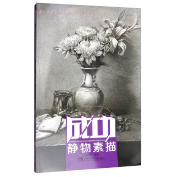 成功系列高考丛书：静物素描 pdf epub mobi 下载