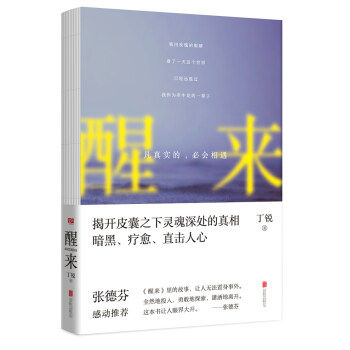 醒來：凡真實的，必會相遇 pdf epub mobi 下载