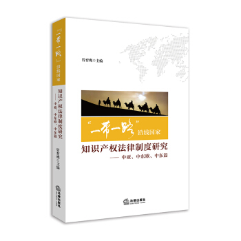 “一帶一路”沿綫國傢知識産權法律製度研究：中亞、中東歐、中東篇 pdf epub mobi 下载