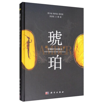 琥珀：穿越时空的精灵 pdf epub mobi 下载