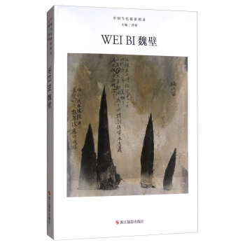 魏壁/中国当代摄影图录 pdf epub mobi 下载
