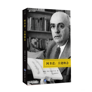 阿多諾:關鍵概念