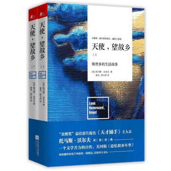 天使,望故乡:被埋葬的生活故事(套装上下册)