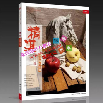 2017新书 精湛 素描静物照片 主题教学系列丛书孔祥涛周洪河 pdf epub mobi 下载