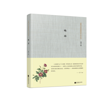 茅盾文學奬獲奬者小說叢書：晚雨 pdf epub mobi 下载