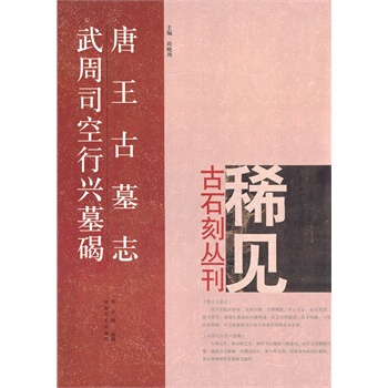 稀見古石刻叢刊：唐王古墓誌 武周司空行興墓碣 pdf epub mobi 下载