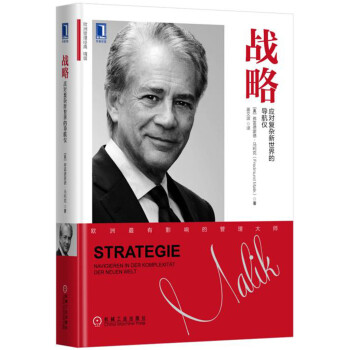 战略：应对复杂新世界的导航仪 [Strategy:Navigating the Complexity of the New Worl] pdf epub mobi 电子书 下载