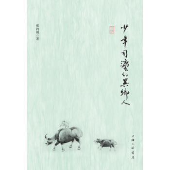 少年司法的异乡人 pdf epub mobi 电子书 下载