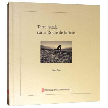 絲路上的故鄉（法） pdf epub mobi 下载