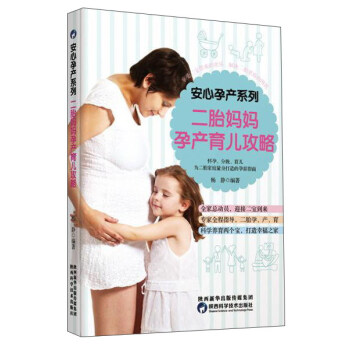 安心孕产系列：二胎妈妈孕产育儿攻略 pdf epub mobi 下载
