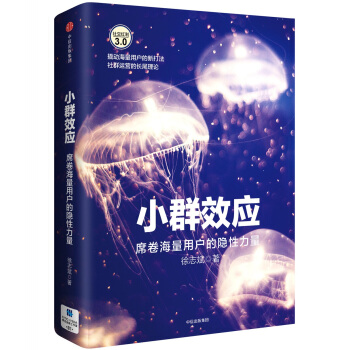 小群效应 席卷海量用户的隐性力量 pdf epub mobi 下载