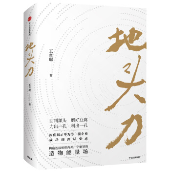 地头力：华为能量场 pdf epub mobi 下载