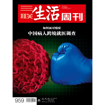 三联生活周刊(2017年第43期)