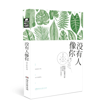 没有人像你 pdf epub mobi 电子书 下载
