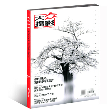 大众摄影杂志2017年5月 你的照片离赚钱有多远 pdf epub mobi 下载