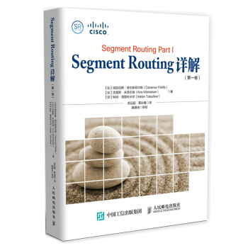 Segment Routing 详解 第一卷 pdf epub mobi 下载