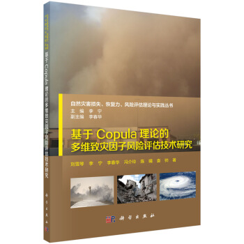 基於Copula理論的多維緻災因子風險評估技術研究 pdf epub mobi 下载