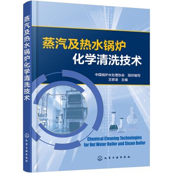 蒸汽及熱水鍋爐化學清洗技術 pdf epub mobi 電子書 下載