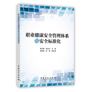 職業健康安全管理體係與安全標準化 pdf epub mobi 下载