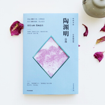 诗画共读：陶渊明诗选 石涛插图版 pdf epub mobi 下载