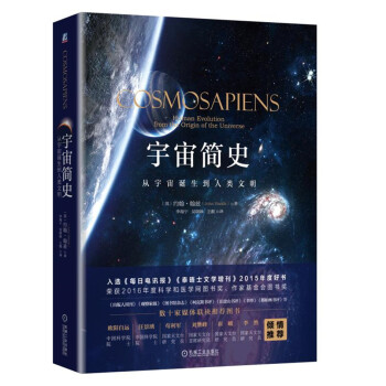 宇宙簡史：從宇宙誕生到人類文明 pdf epub mobi 下载