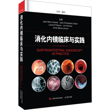 消化内镜临床与实践 pdf epub mobi 下载