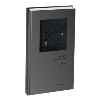 只有一克重 pdf epub mobi 下载