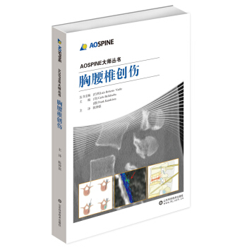 胸腰椎创伤 pdf epub mobi 下载