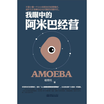 我眼中的阿米巴經營 pdf epub mobi 下载