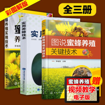 正版 實用養蜂技術3冊 圖說蜜蜂養殖關鍵技術 中蜂意蜂養殖書籍大全 蜜蜂養殖 pdf epub mobi 下载