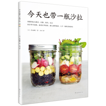 今天也带一瓶沙拉 pdf epub mobi 下载